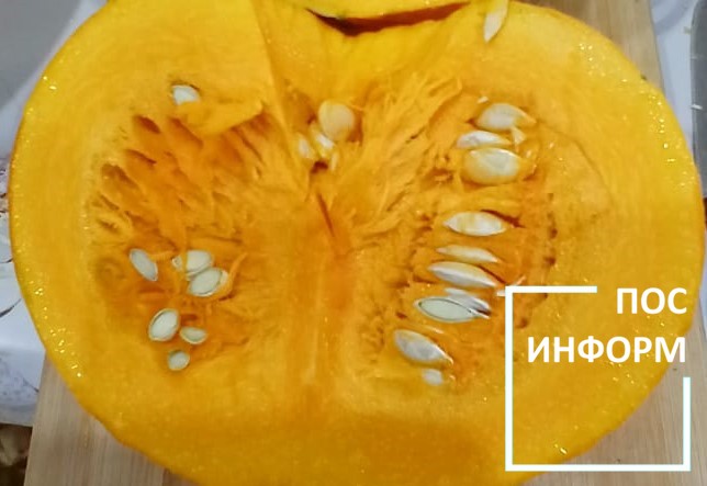 Как сохранить тыку до весны